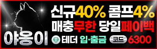 야옹이